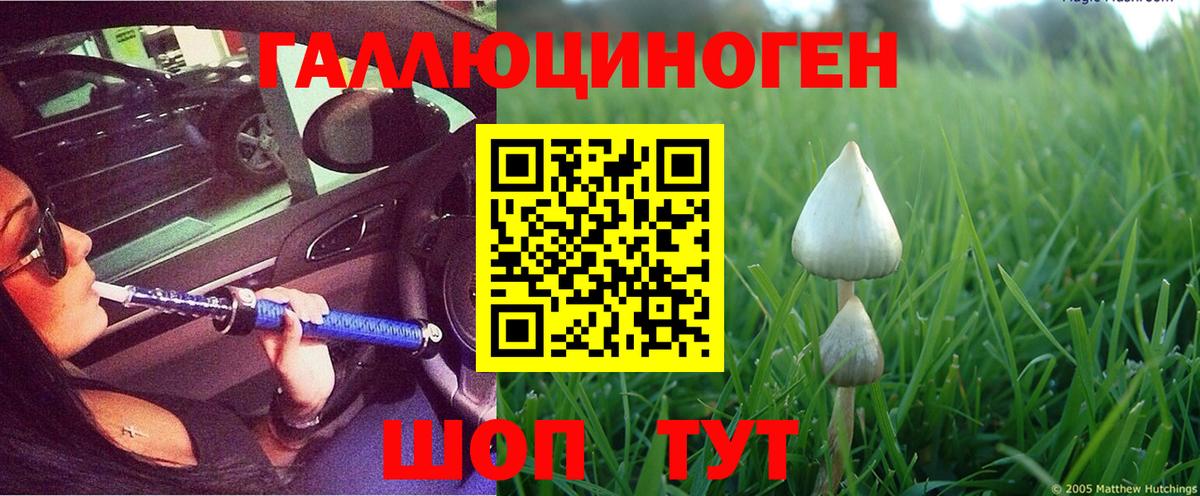 Псилоцибиновые грибы Psilocybine cubensis Михайловск