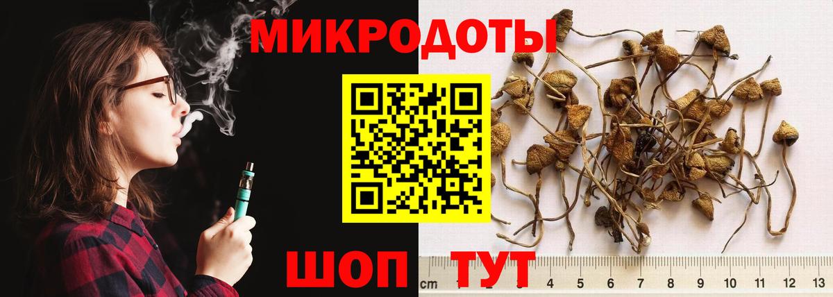 Псилоцибиновые грибы мицелий  Вход с VPN  Михайловск 
